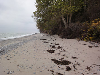 Strandhuset