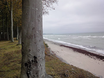 Strandhuset